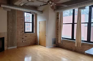 1516 S Wabash Ave, Chicago, IL 60605 - Photo 3