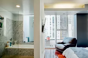 550 N St Clair St, Chicago, IL 60611 - Photo 9