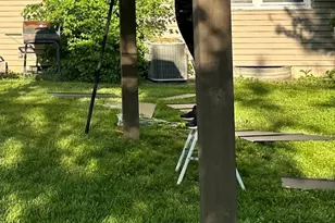 17554 Cypress Ave, Country Club Hills, IL 60478 - Photo 3