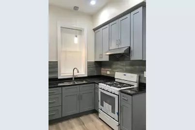 248 W 26th Street, Chicago, IL 60616 - Photo 5