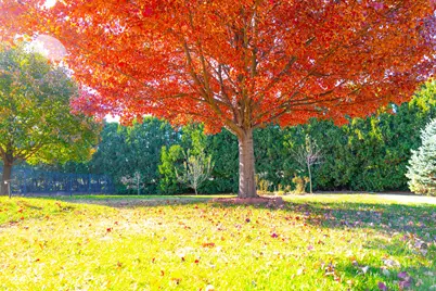 1307 Longford Lane, Bloomington, IL 61704 - Photo 7