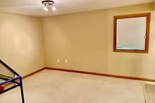 1221 S Fox Run Dr, Seneca, IL 61360 - Photo 41