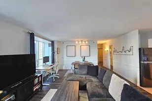 512 N McClurg Ct, Chicago, IL 60611 - Photo 9