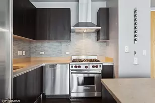 600 N Fairbanks Ct, Chicago, IL 60611 - Photo 9