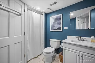 10613 Pebble Dr, Huntley, IL 60142 - Photo 31