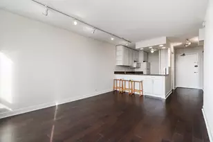 1455 N Sandburg Terrace, Chicago, IL 60610 - Photo 3