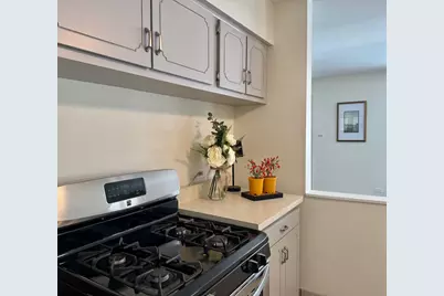 3051 S Scott Street, Des Plaines, IL 60018 - Photo 11