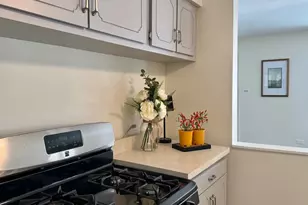 3051 S Scott St, Des Plaines, IL 60018 - Photo 11