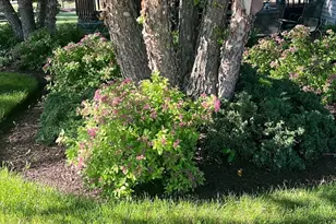 409 Wedgewood Ln, Belvidere, IL 61008 - Photo 29