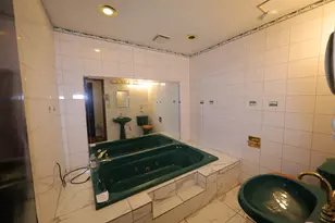 2741 Lighthouse Ct, Lynwood, IL 60411 - Photo 13