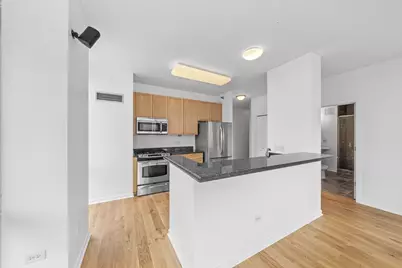 757 N Orleans Street #1511, Chicago, IL 60654 - Photo 9