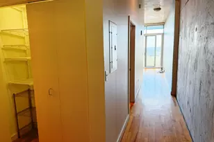 1720 S Michigan Ave, Chicago, IL 60616 - Photo 29