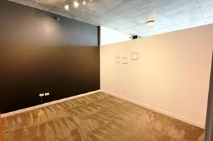 1720 S Michigan Ave, Chicago, IL 60616 - Photo 13