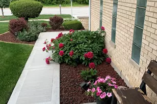 15755 Ridgeland Ave, Oak Forest, IL 60452 - Photo 3