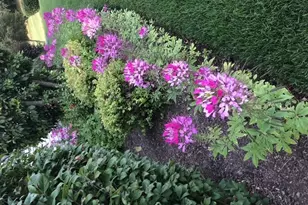 12660 Birdie Dr, Huntley, IL 60142 - Photo 45