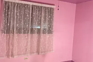 11149 S Green Bay Ave, Chicago, IL 60617 - Photo 11