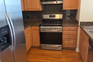 420 E Waterside Dr, Chicago, IL 60601 - Photo 7