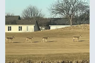 21521 W Juniper Court, Plainfield, IL 60544 - Photo 39