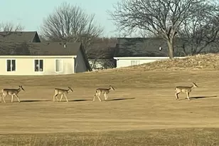 21521 W Juniper Ct, Plainfield, IL 60544 - Photo 39