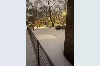 9924 S Hoxie Avenue, Chicago, IL 60617 - Photo 11