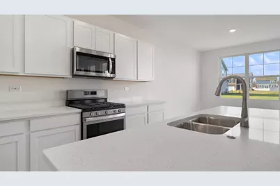 1243 Tiger Lily Drive, Bartlett, IL 60103 - Photo 9