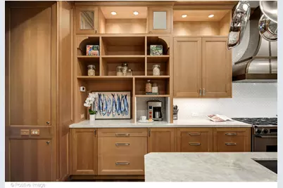 1520 N Dearborn Parkway, Chicago, IL 60610 - Photo 15