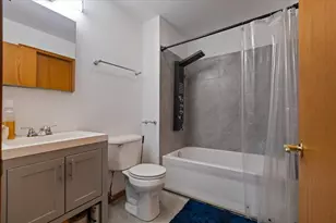 872 Rosedale Terrace, Crete, IL 60417 - Photo 47