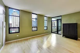 1255 S State St, Chicago, IL 60605 - Photo 3