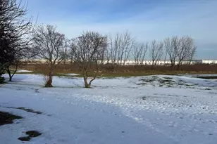 21314 W Crimson Ct, Plainfield, IL 60544 - Photo 23