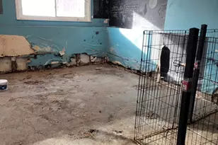 [Address not provided], University Park, IL 60484 - Photo 19