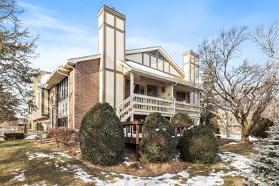 17551 Drummond Drive #17551, Tinley Park, IL 60487 - Photo 15