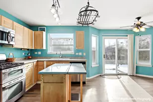 28501 Wagon Trail Ct, Lakemoor, IL 60051 - Photo 11