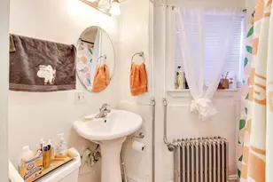 1134 S Oak Park Ave S, Oak Park, IL 60304 - Photo 35