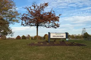 311 Sheffield Ct, Roselle, IL 60172 - Photo 25