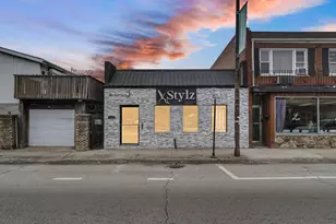 350 E 87th St, Chicago, IL 60619 - Photo 1