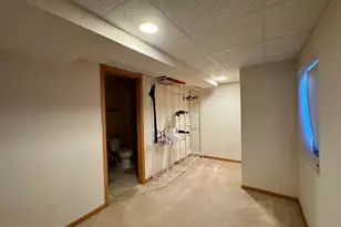 1606 Donegal Dr, Minooka, IL 60447 - Photo 19