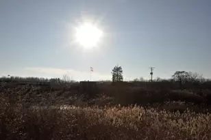 295 Illinois St, Marseilles, IL 61341 - Photo 35