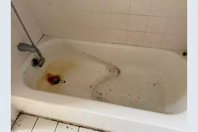 8114 S Anthony Avenue, Chicago, IL 60617 - Photo 19