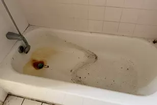 8114 S Anthony Ave, Chicago, IL 60617 - Photo 19