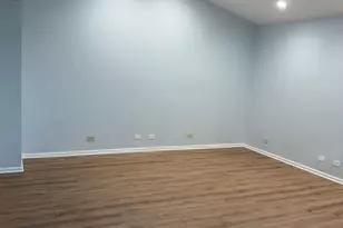 1640 Hilton Head Dr, Naperville, IL 60563 - Photo 19