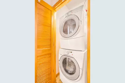 4925 S Forrestville Avenue #3S, Chicago, IL 60615 - Photo 9