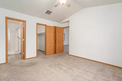 250 S McGinty Street, Diamond, IL 60416 - Photo 15