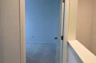 450 Hathaway Ln, Oswego, IL 60543 - Photo 31