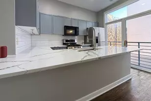 2350 W George St, Chicago, IL 60618 - Photo 7