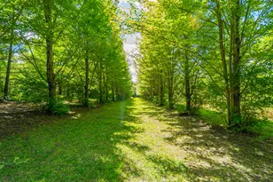 1340 E 2700 North Rd, Ashkum, IL 60911 - Photo 7