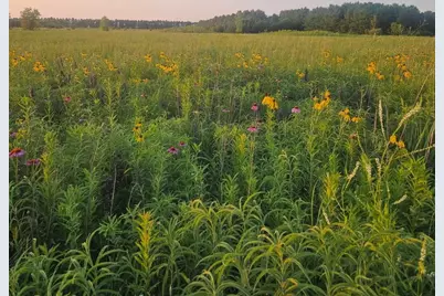 1340 E 2700 North Road, Ashkum, IL 60911 - Photo 75