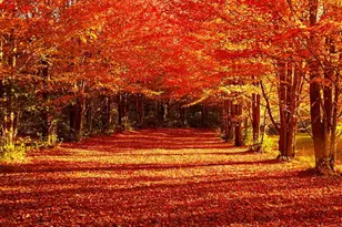 1340 E 2700 North Rd, Ashkum, IL 60911 - Photo 77