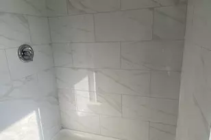 8046 S Manistee Ave, Chicago, IL 60617 - Photo 19