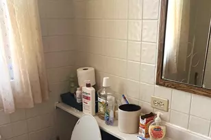 8135 S Prairie Ave, Chicago, IL 60619 - Photo 9