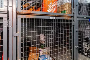 111 S Morgan St, Chicago, IL 60607 - Photo 31